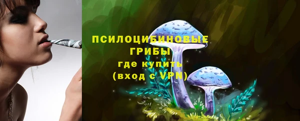 альфа пвп Медвежьегорск