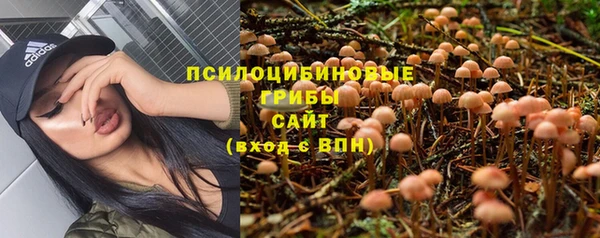 a pvp Магадан