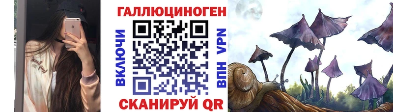 Псилоцибиновые грибы Cubensis  Купить где  Жирновск 